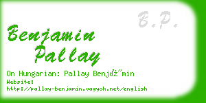 benjamin pallay business card